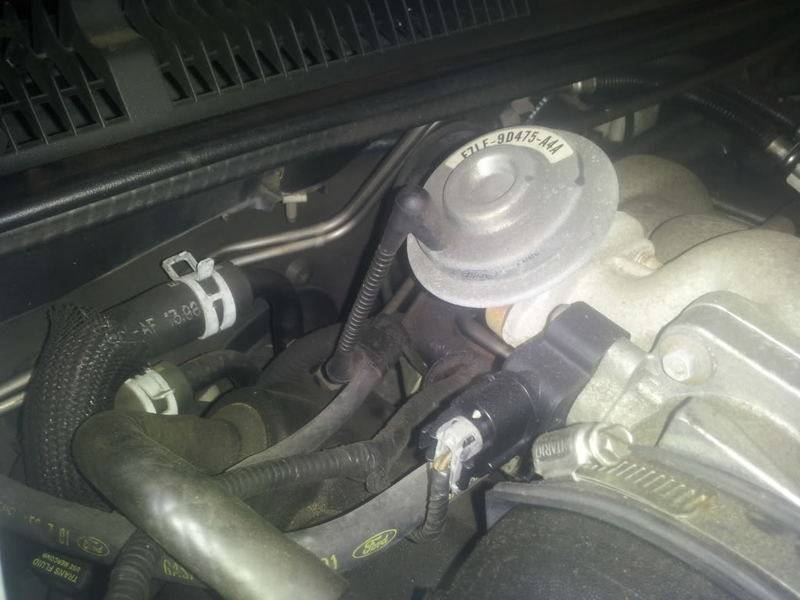 2013-01-28165602.jpg