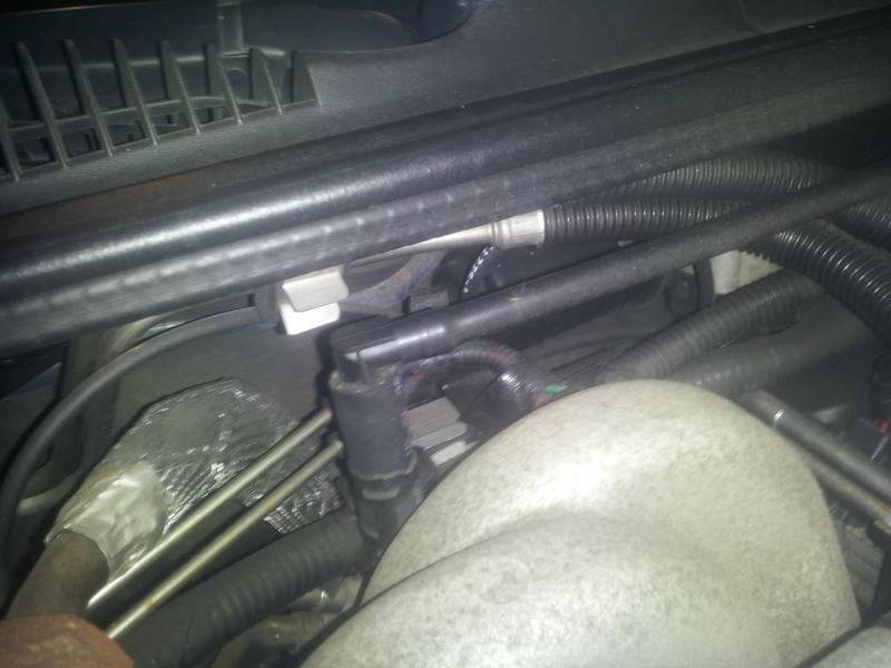 2013-01-28165626.jpg