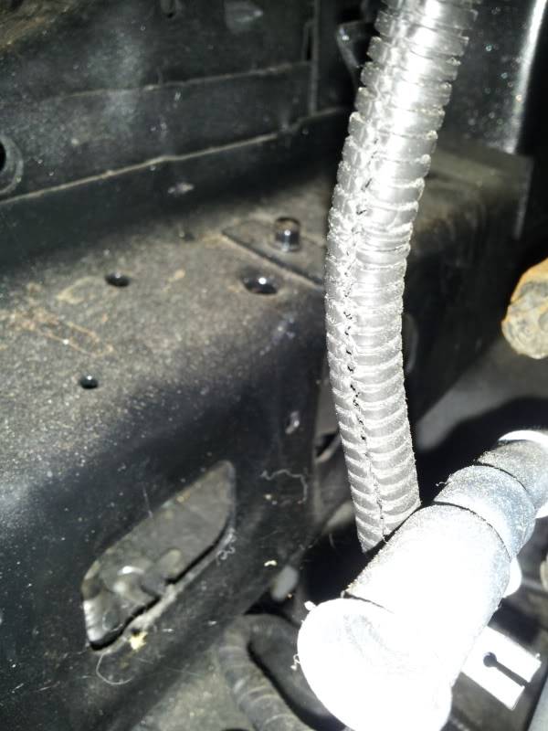 20130206_164020.jpg