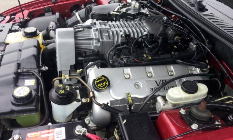 20130226_104225.jpg