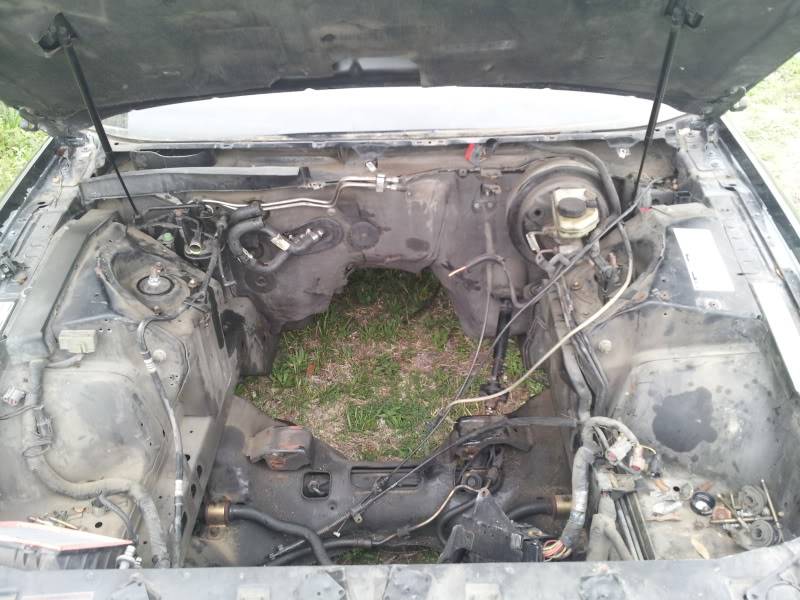 20130408_154227.jpg