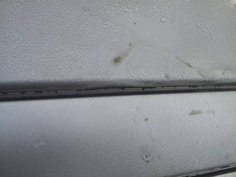 20130701_074520.jpg