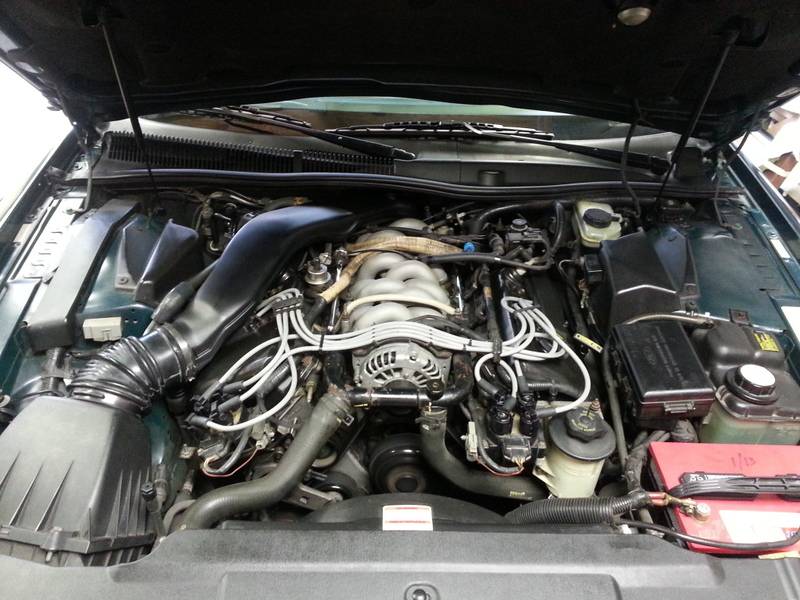 20130809_165712_zps790aadce.jpg