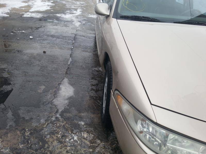20150203_124328.jpg