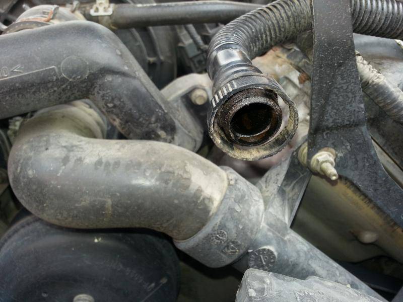 20150411_124445.jpg