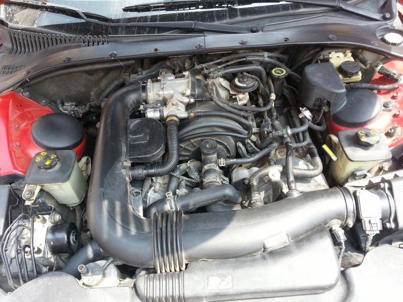 20150411_144328.jpg