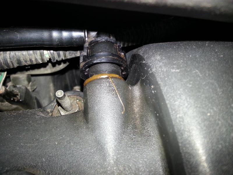20150411_201031.jpg