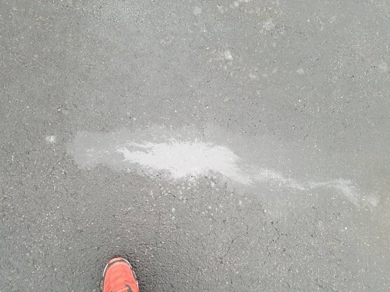 20171222_125934.jpg