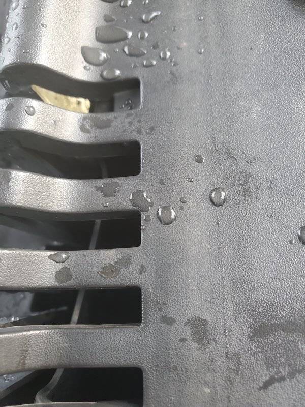 20190731_183140.jpg