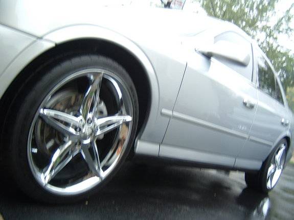 21269560016_large.jpg