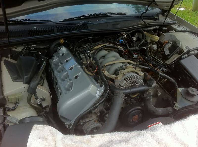 2178e3d2.jpg