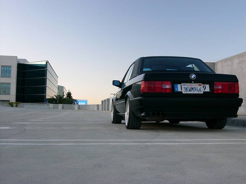 222598075-XL.jpg