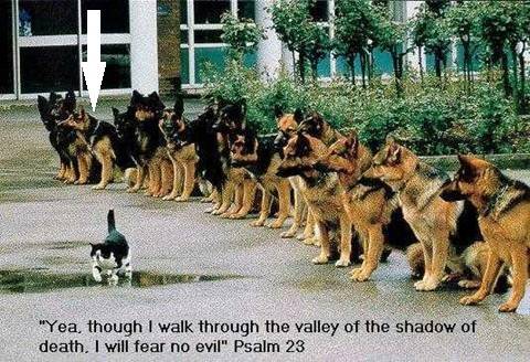 23rd Psalm What is he lookin at.jpg