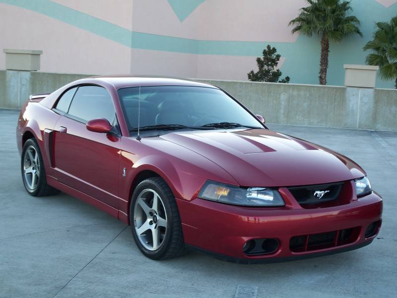 24680d1173072595-2003-cobra-mustang-pictures-now-online-56k-beware-100_0378.jpg