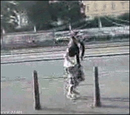 287n334.gif