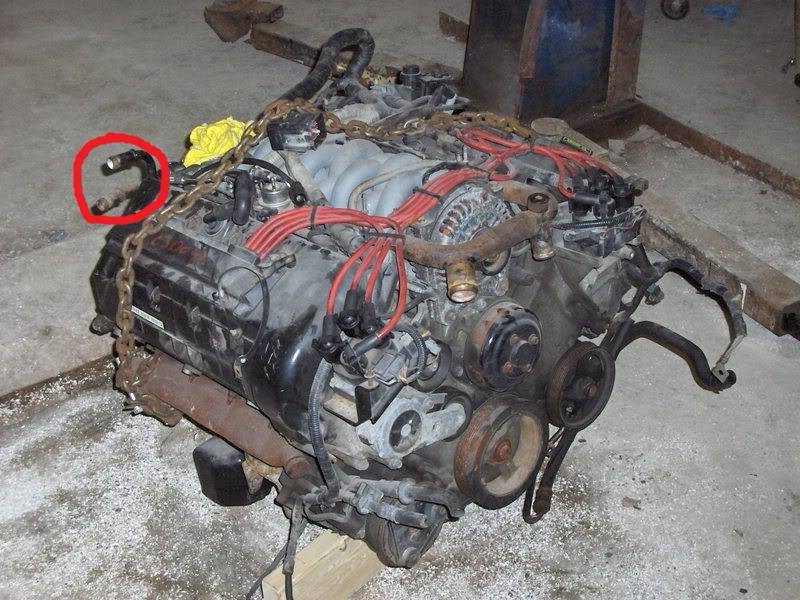 4.6l engine.jpg