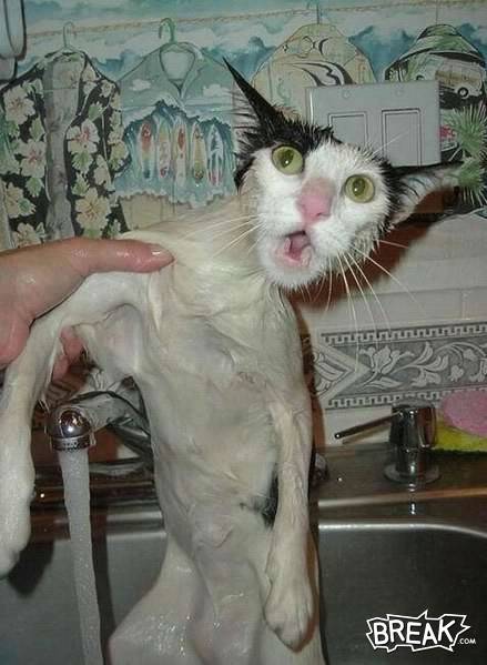 43apr02-very-wet-pussy.jpg