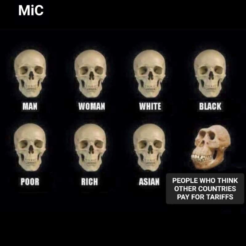 528856793_1166457355509636_1822963870911073360_n.jpg
