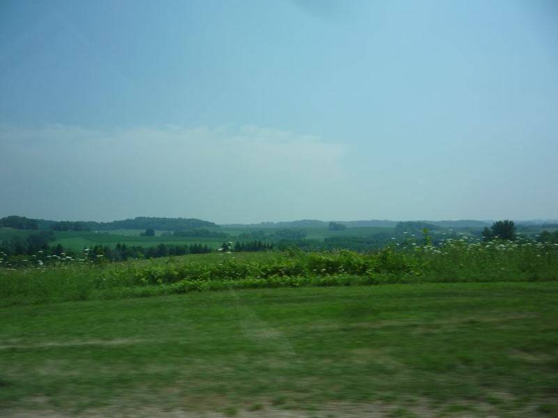 52b7cf53.jpg
