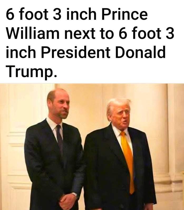 549575030_727925093609359_5031499055078077759_n.jpg