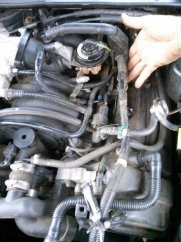 77957-ddebf6bceeca3fe2814b3b3c0b815eab.jpg