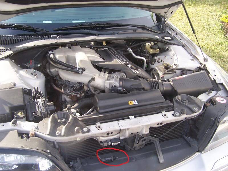 8LM6X.jpg