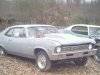 981970nova.jpg