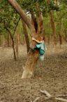 a-treehugger.jpg