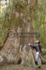 a-treehugger-male.jpg
