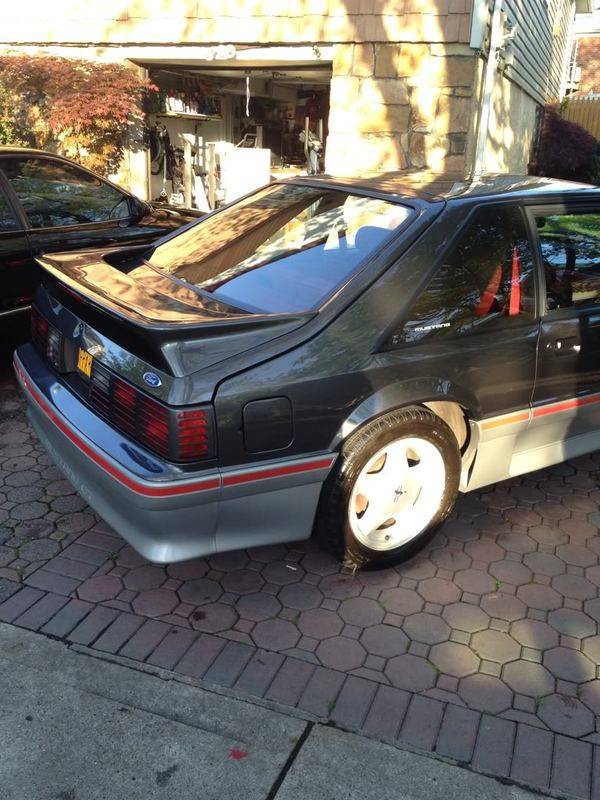 ae62ad02.jpg