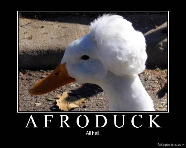afro.jpg