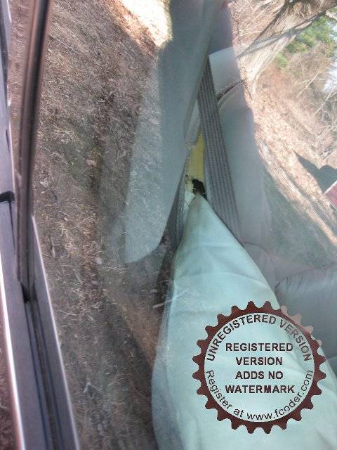 airbag.jpg