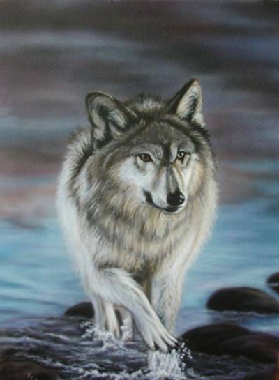 airbrushGraywolf.jpg