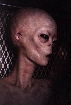 alien_hyb.jpg