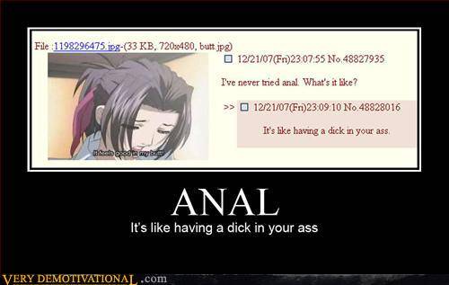 anal2.jpg