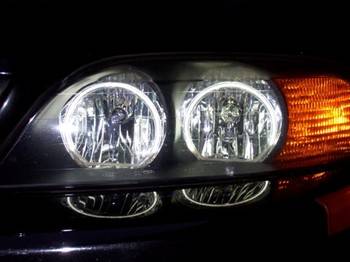 Angel Eyes Night.JPG