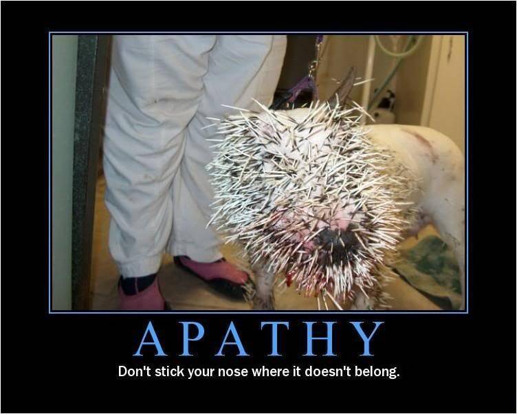 apathy2.jpg