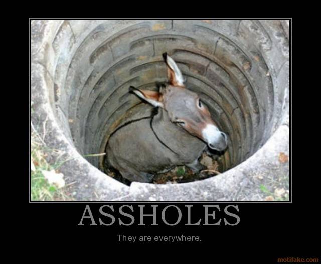 assholes.jpg