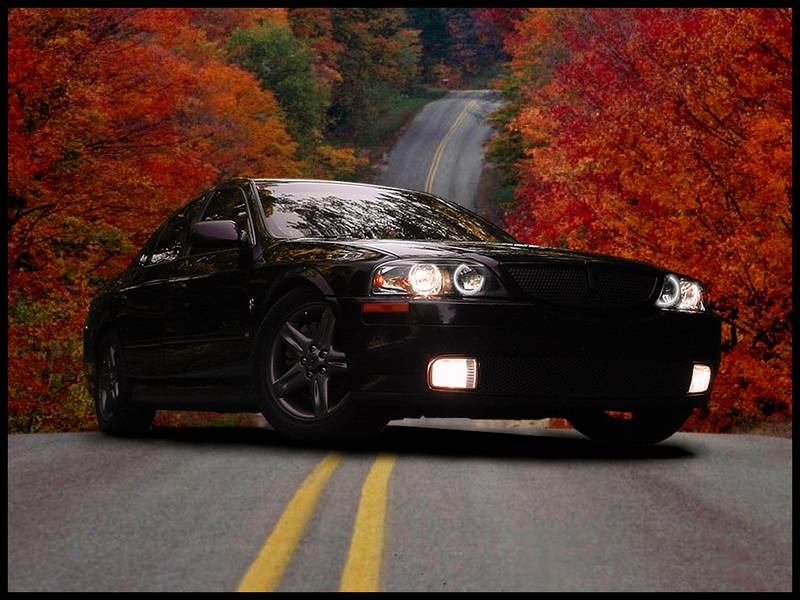 Autumn____by_mholhut.jpg