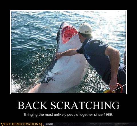 back scratching.jpg