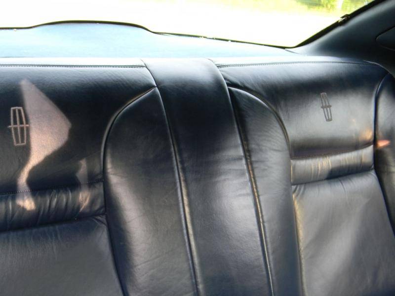 Back Seat (8).jpg
