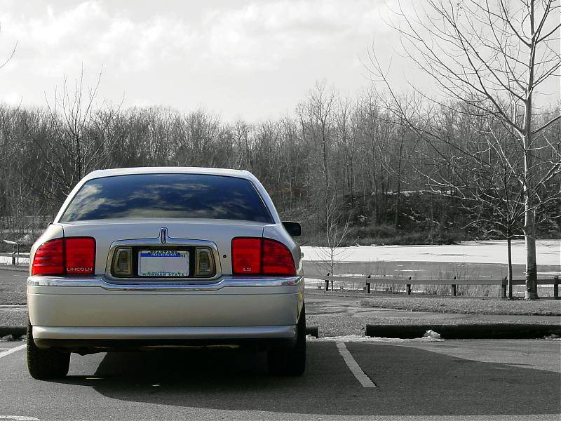 back shot 2.jpg