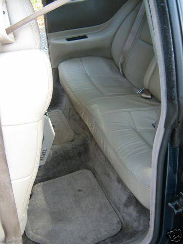 backseat.jpg