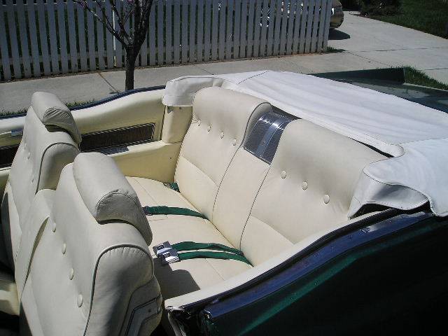 backseat.jpg