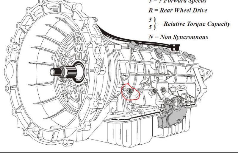 band screw.jpg