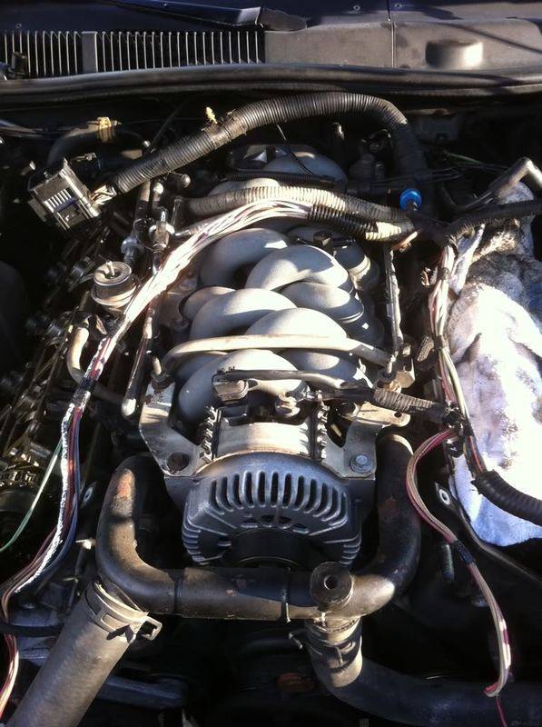 bb3e3688.jpg