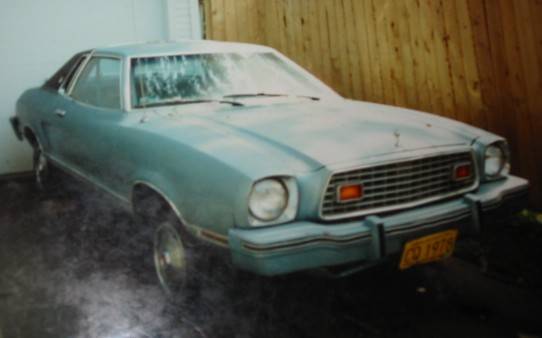 before mustang.JPG