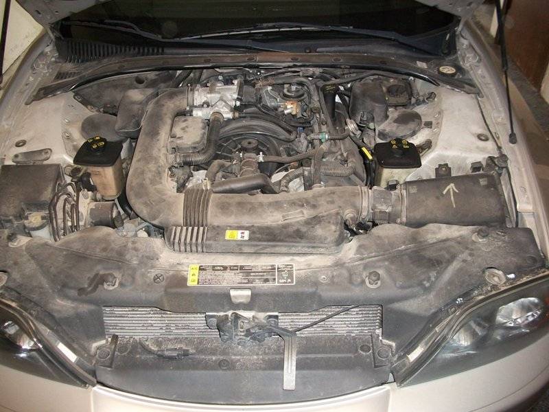 beforeafter3.JPG