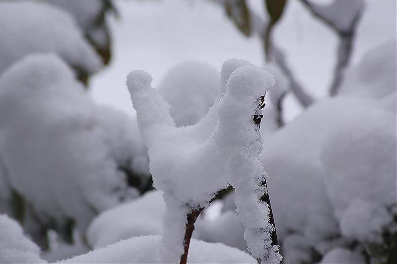 blizzard-25.jpg