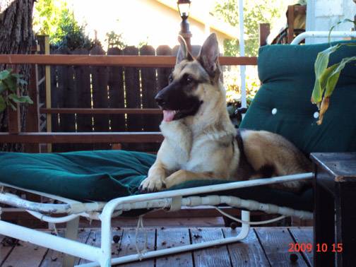 BOBBY 10 09 2009.jpg